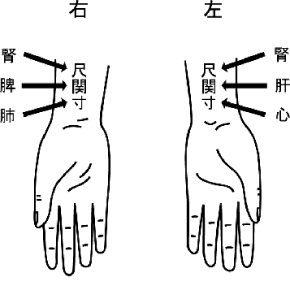 寸関尺と五臓