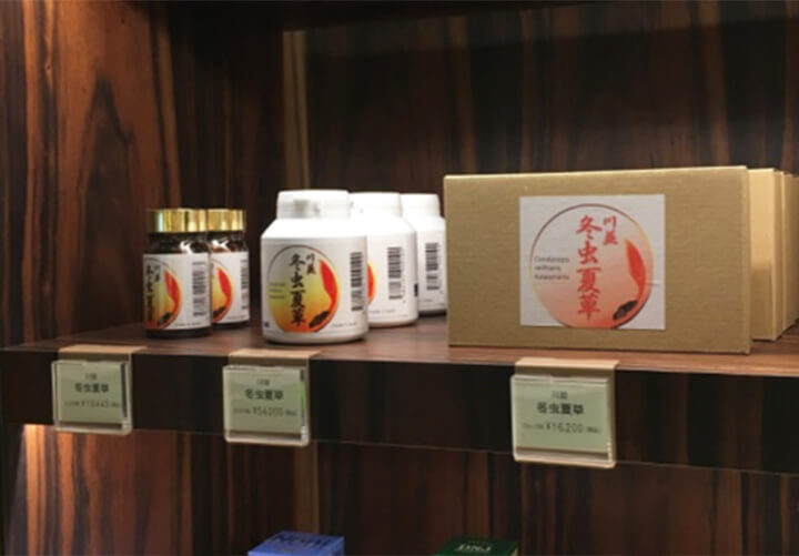 冬虫夏草の得意とする疾患